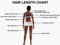 /album/photogallery/hairlengthchart-200-png/